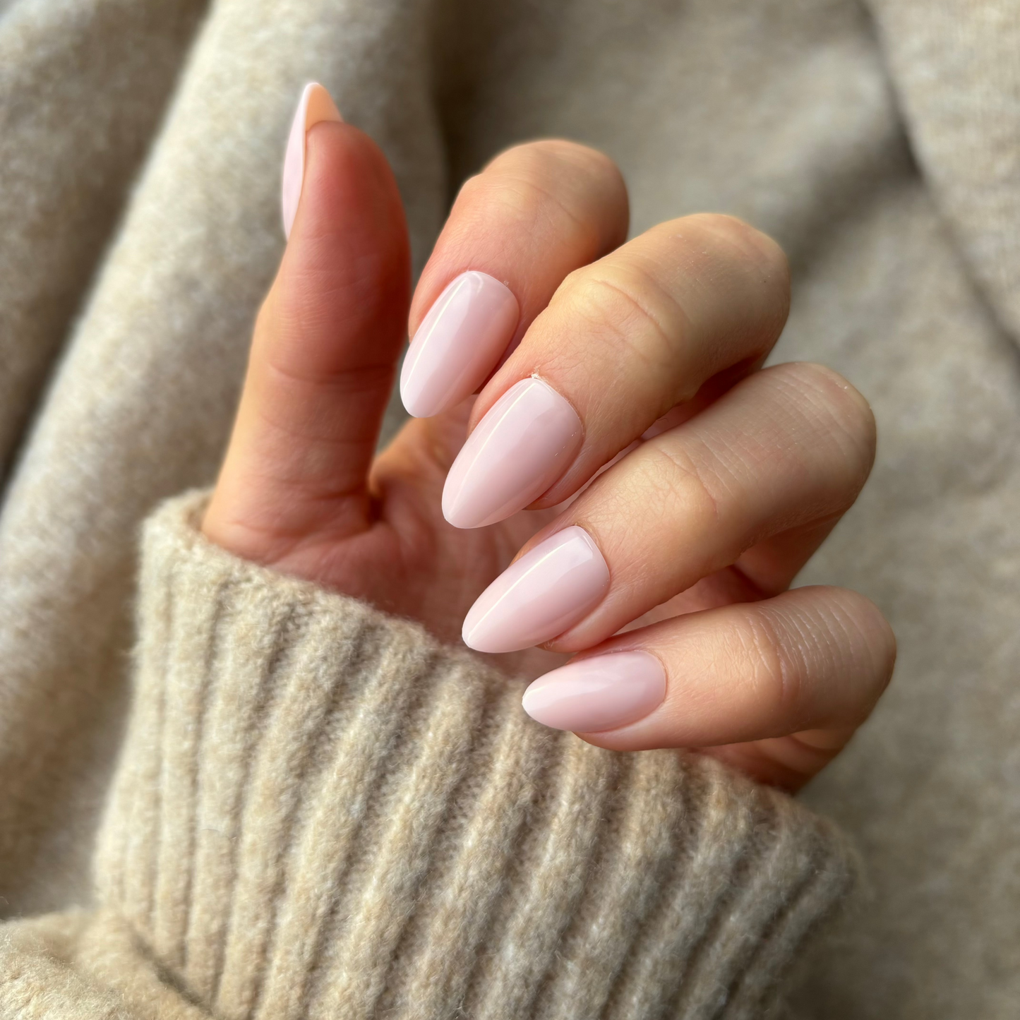 Almond Trio Bundle