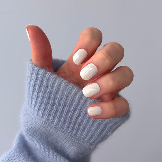 oyster (extra-short)